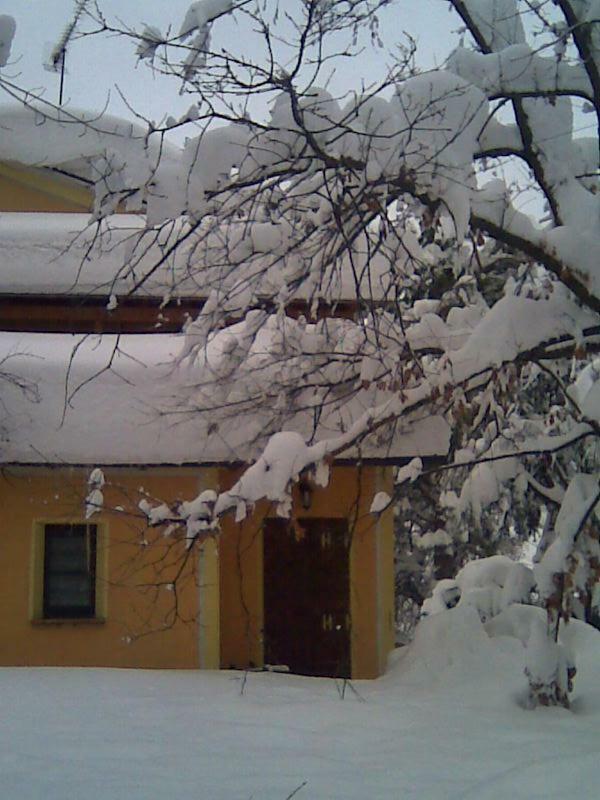 Le Spighe Agriturismo Cesena Exteriér fotografie