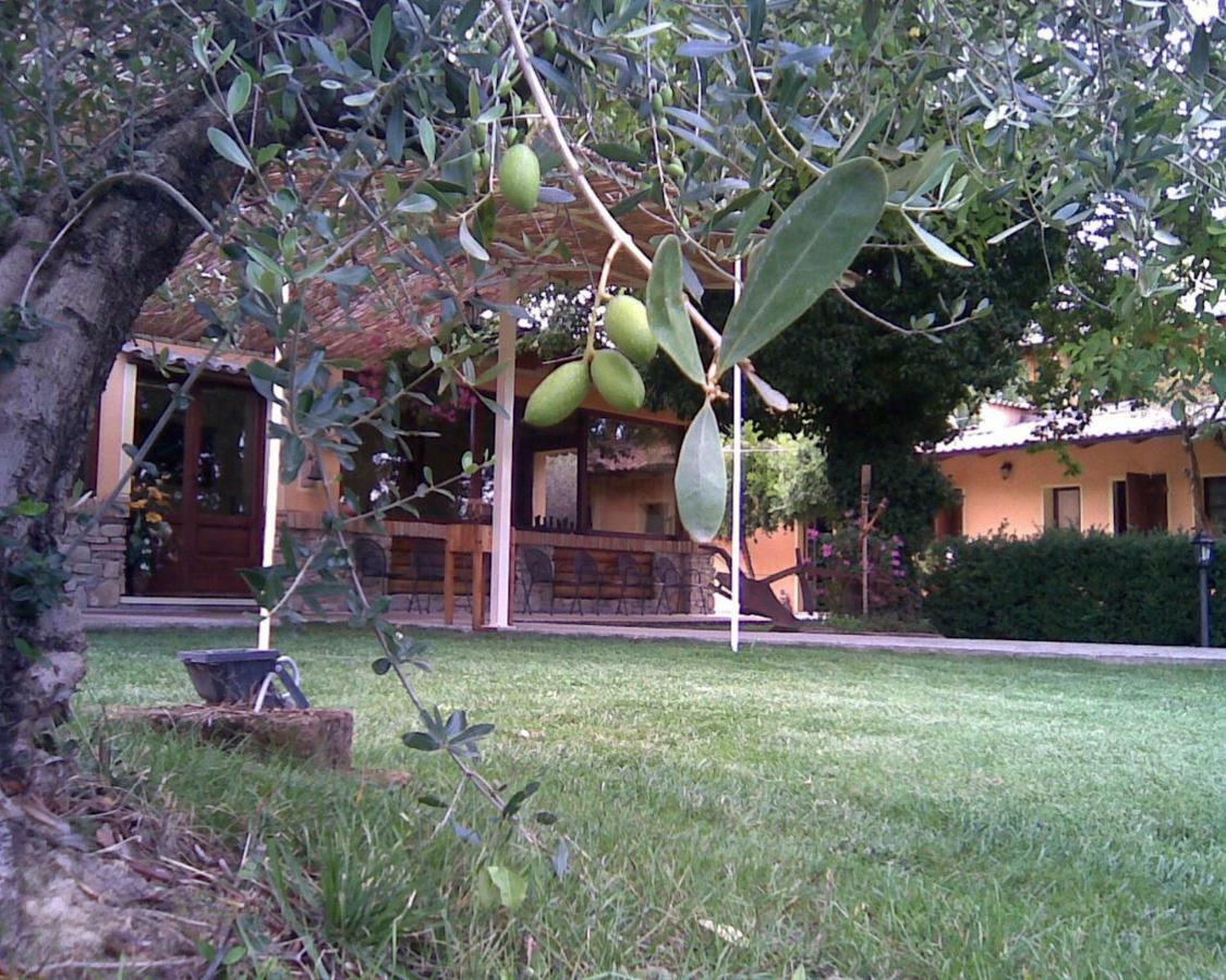 Le Spighe Agriturismo Cesena Exteriér fotografie