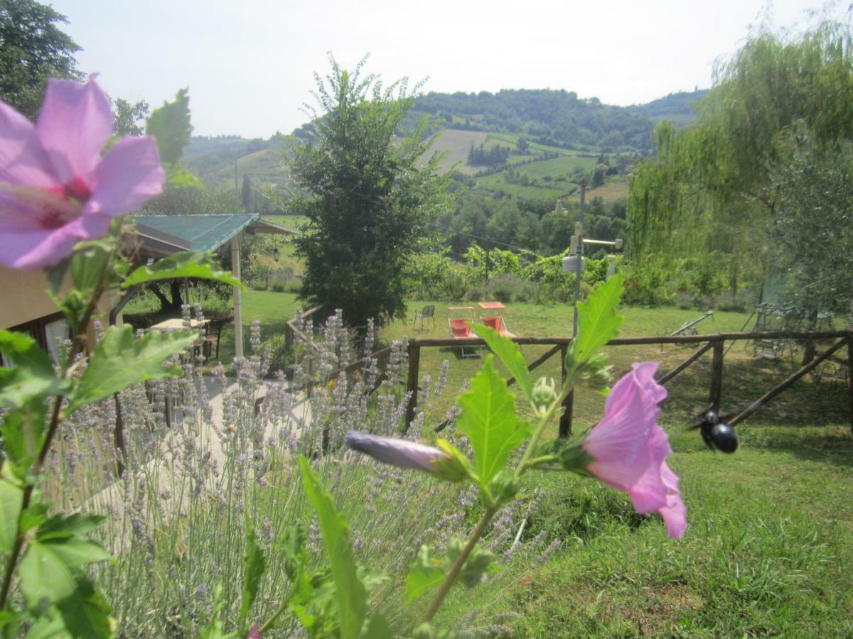Le Spighe Agriturismo Cesena Exteriér fotografie