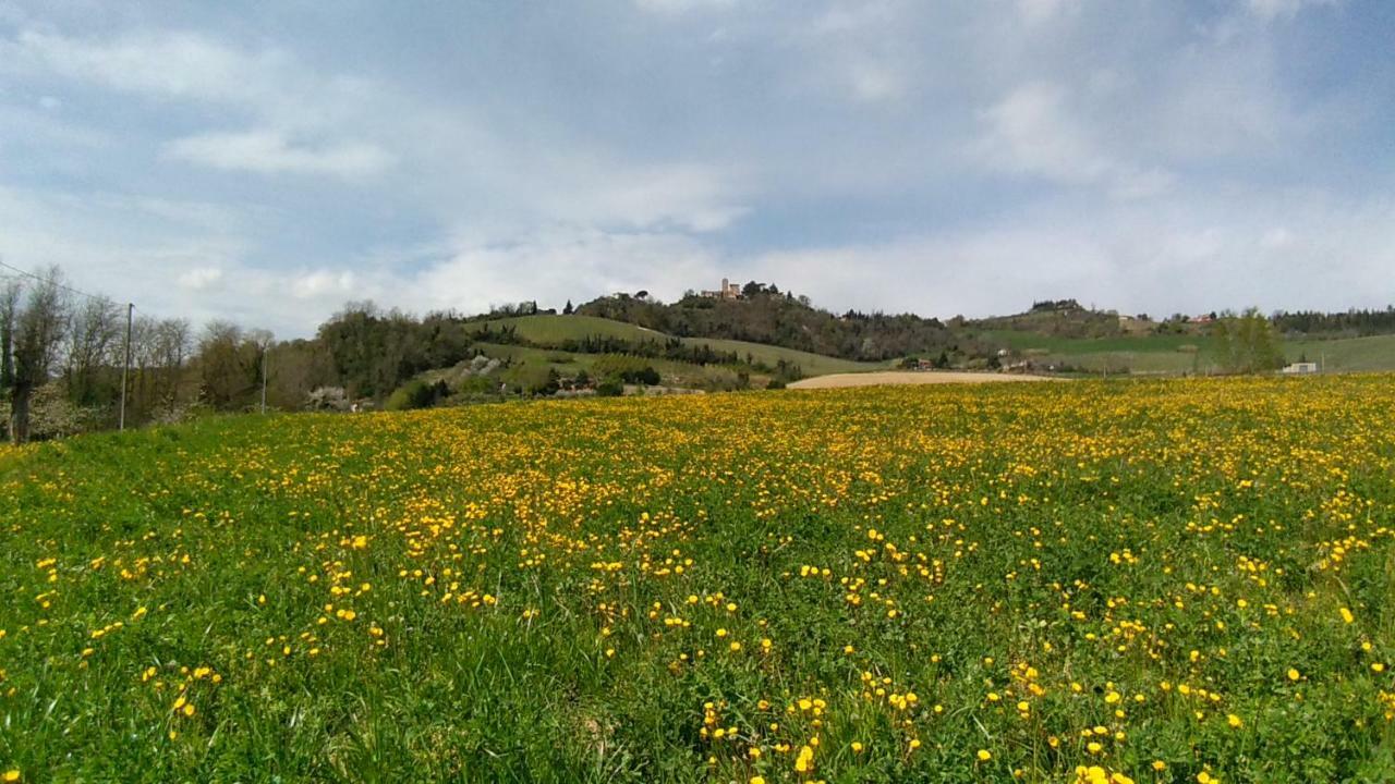 Le Spighe Agriturismo Cesena Exteriér fotografie